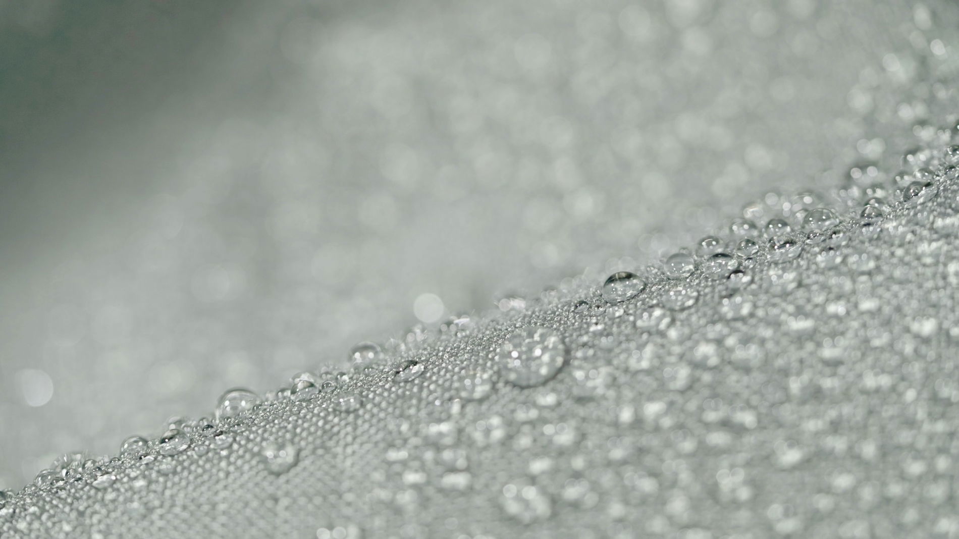 Dahlia Dining XL pokrowiec