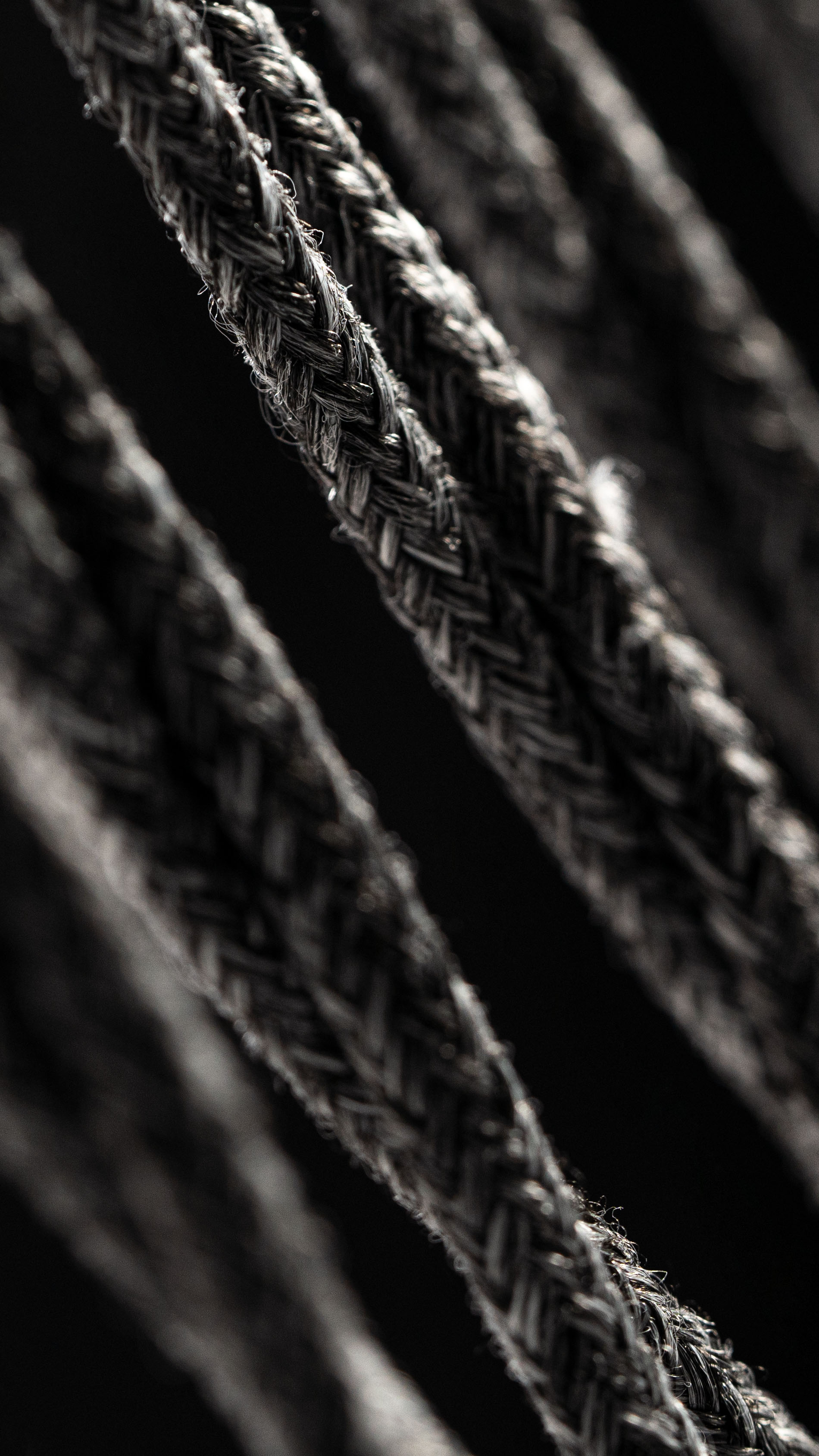 Lina Ciemnoszary melanż Inscenizacja