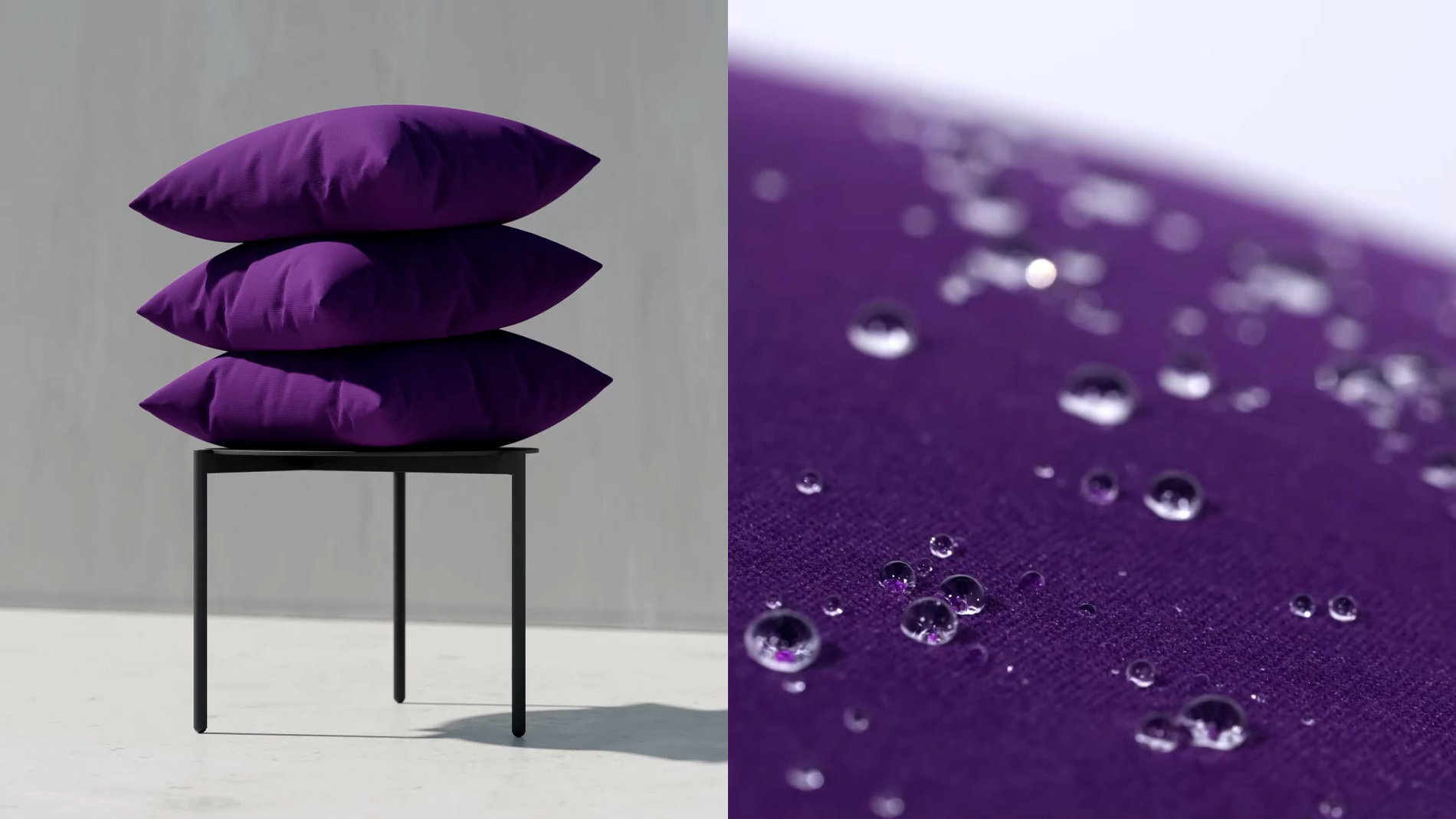 Fioletowy Zbliżenie